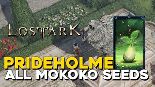 Lost Ark All Prideholme Mokoko Seed Locations [upl. by Enal]