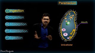 Life Processes  2 Chapter 6  Heterotrophic nutrition  CBSE Class 10 Science  Biology  Toppr [upl. by Eniac]