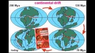 Continental Drift  Evidence [upl. by Isidoro]