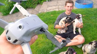 Die HUNDE WELPEN gegen DROHNE  Welpen Vlog 5 [upl. by Leviram]