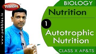 Autotrophic Nutrition Nutrition  Biology  Science  Class 10 [upl. by Lemaceon]