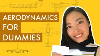 Intro to Aerodynamics How Do Airplanes Fly [upl. by Mcnair]