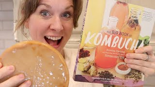 How to BREW YOUR OWN KOMBUCHA  how to MAKE KOMBUCHA at home  Kombucha Tea [upl. by Loveridge859]