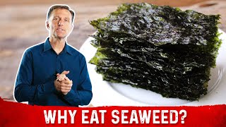 What is Seaweed – DrBerg Explains Roasted Seaweed Benefits [upl. by Marv]