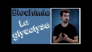 Cours de biochimie Glycolyse [upl. by Ntsuj]