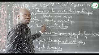 Cours  Terminale S  SVT  Lactivité du muscle strié squelettique  Introduction [upl. by Nnyw]