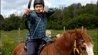 Mongolian Horse Bow Genghis Khan Alibow Review [upl. by Asinet]