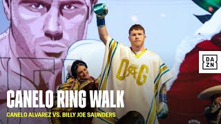 Canelos EPIC Cinco de Mayo Themed Ring Walk [upl. by Heiner527]