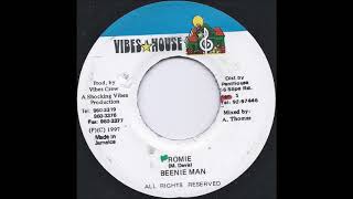 Beenie Man  Romie Viny Side B Instrumental 1996 [upl. by Khano]