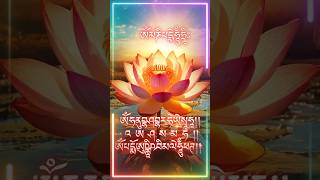 Om Mani Padme Hum  Buddha Mantra  buddha mantra meditation  六字大明咒 [upl. by Coop871]