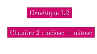 Génétique L2  méiose et mitose [upl. by Lieberman703]