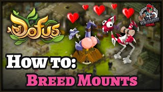 Dofus Guide – How to Breed Dragoturkey Mounts Breeding made EASY [upl. by Rosalind]