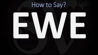 How to Pronounce Ewe CORRECTLY [upl. by Aisinoid919]