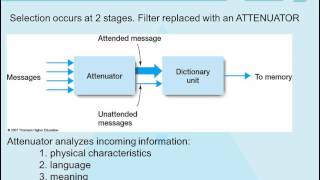 Theories of Attention [upl. by Tera]