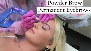 TATTOOED EYEBROWS quotPowder Browquot Experience Before amp After  ARTFUL BEAUTY [upl. by Aicemak708]