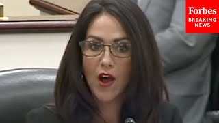 Lauren Boebert Calls Out Dems I Did Not Hear The Outcry From Dems Over Firings Of Energy Workers [upl. by Nnaul]