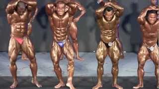 World 2012  Mr Universe 2012 Overall Champion [upl. by Tippets]