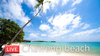 🔴 Livestream Chaweng beach Koh Samui  Virtual Walking tour  Streets of Thailand [upl. by Cayser91]