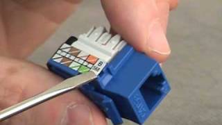 How to wire an RJ45 jack [upl. by Nerat80]