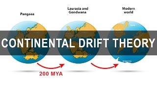 Continental Drift Theory  Alfred Wegener  Pangea  Gondwanaland [upl. by Newra]