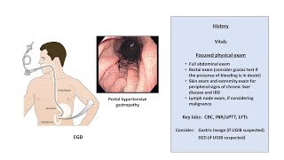 Trauma Kit Fundamentals  Stop the Bleed [upl. by Adirahs]