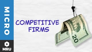 Introduction to the Competitive Firm [upl. by Fineman]