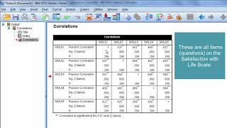 How to Interpret a Correlation Matrix [upl. by Rie319]