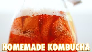 How To Make Kombucha At Home [upl. by Einaffyt]