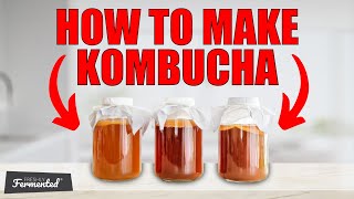 How To Make Kombucha  Tutorial [upl. by Ayekehs90]