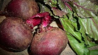 How To Juice Beets Recipe [upl. by Walli15]