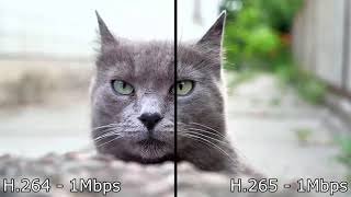 H264 vs H265 comparison 4K [upl. by Efi]