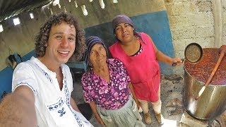 Así se celebran las bodas en un PUEBLO INDÍGENA [upl. by Caitlin311]