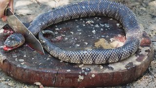 Giant Snake Soup  Delicious Big Python Boil For Food  Wilderness Food [upl. by Fauver428]