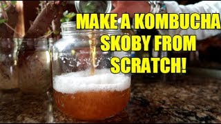 HOW TO MAKE YOUR OWN KOMBUCHA SCOBY EASY [upl. by Bricker]