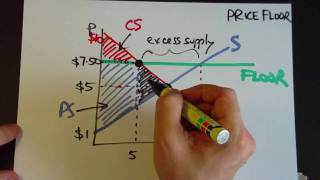 Price floors and surplus [upl. by Nnylharas]